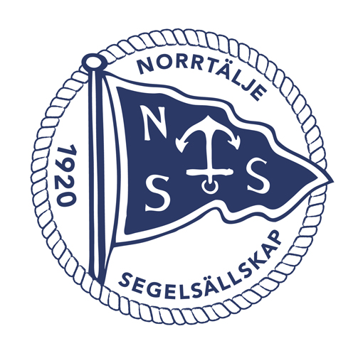 NSSLOGO_FINAL100801